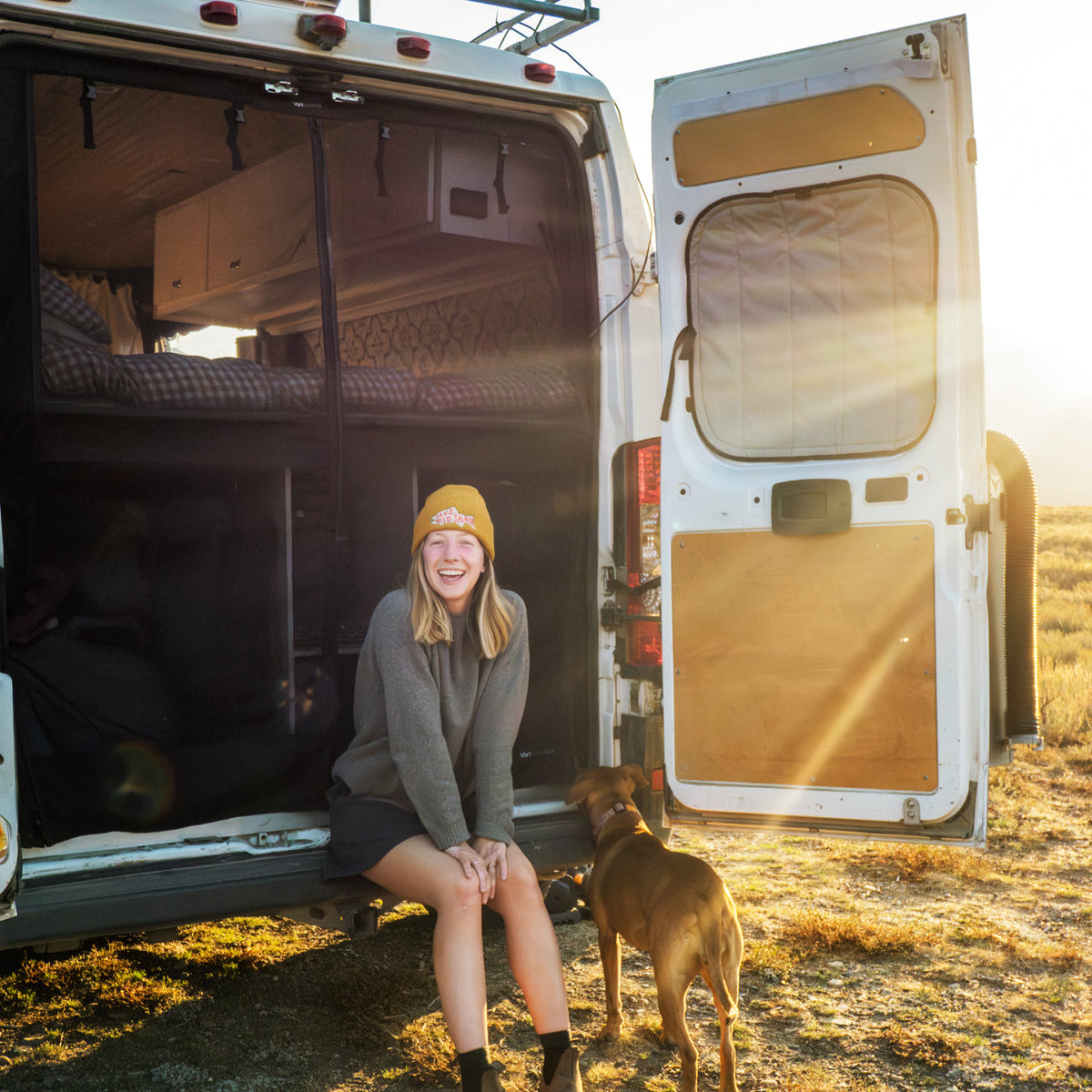Ram Promaster Bug Screen - Rear Door VanEssential