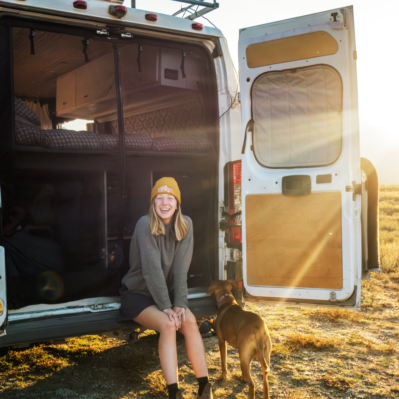 Ram Promaster Bug Screen - Rear Door VanEssential
