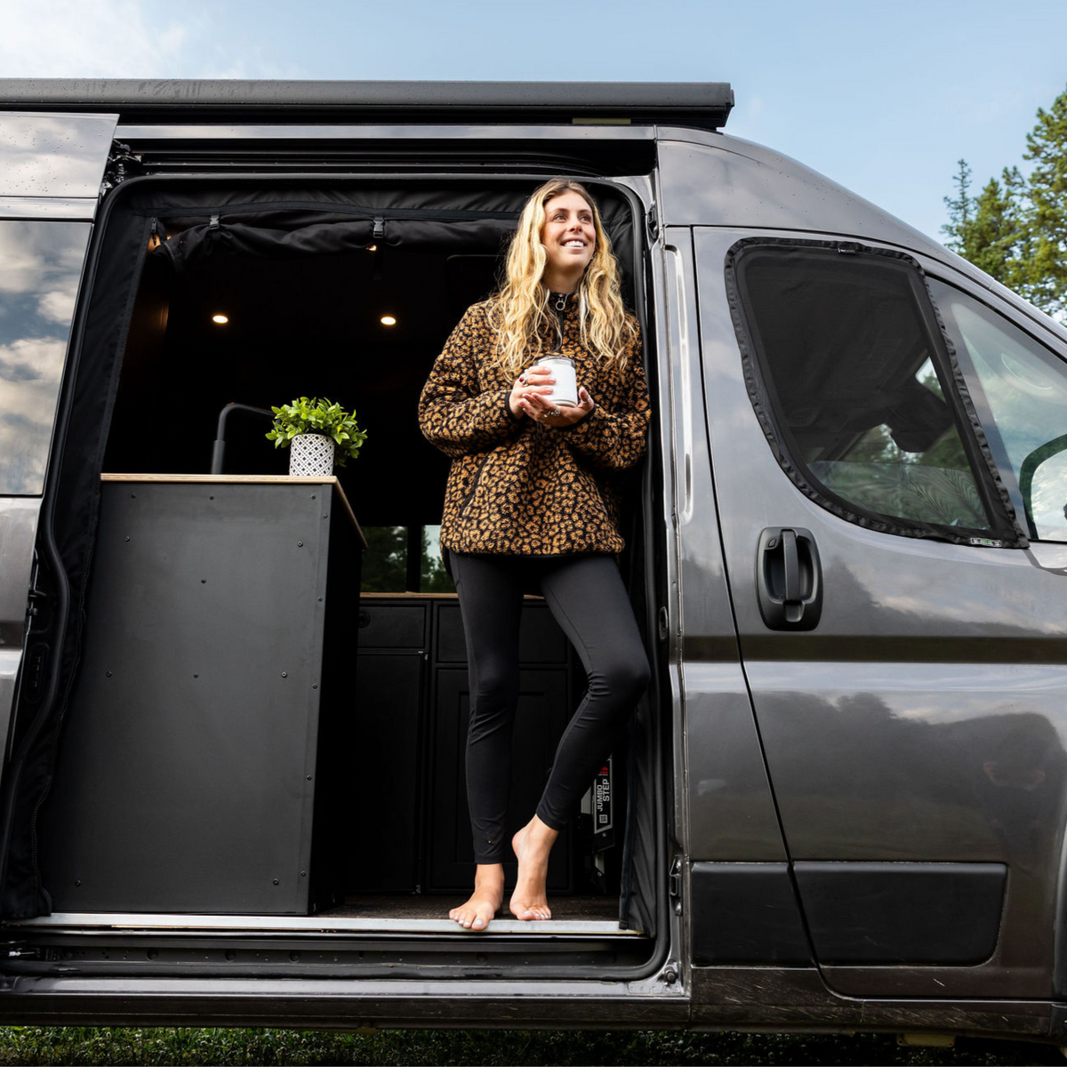 Ram Promaster Bug Screen - Front Doors (Pair) VanEssential