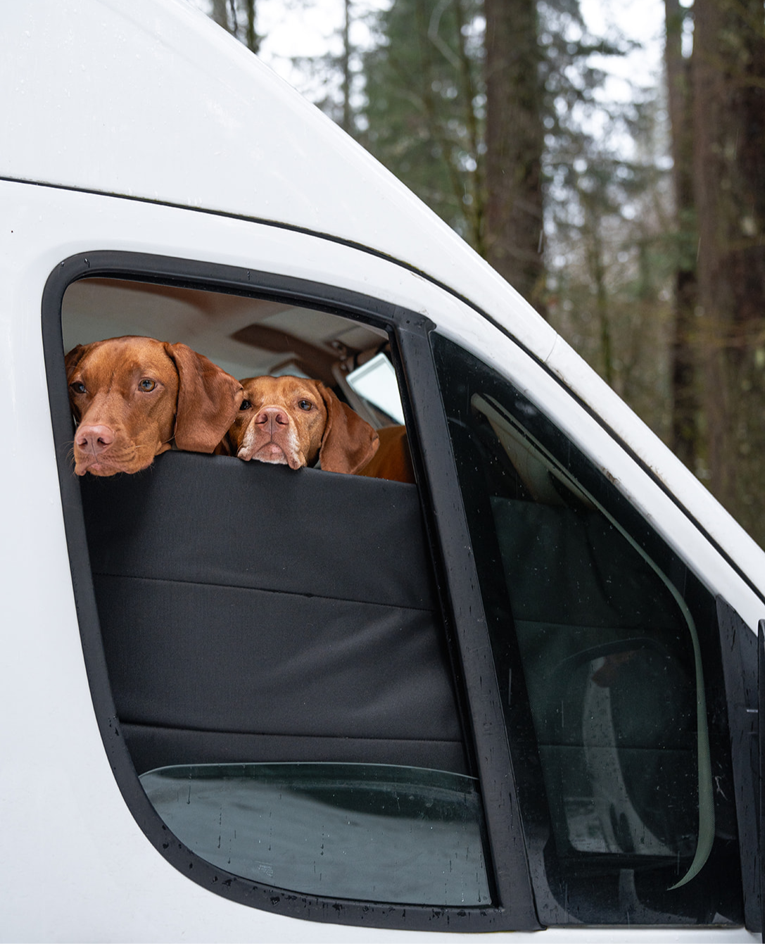 Ram Promaster Stealth Front Door Window Covers (Pair) VanEssential