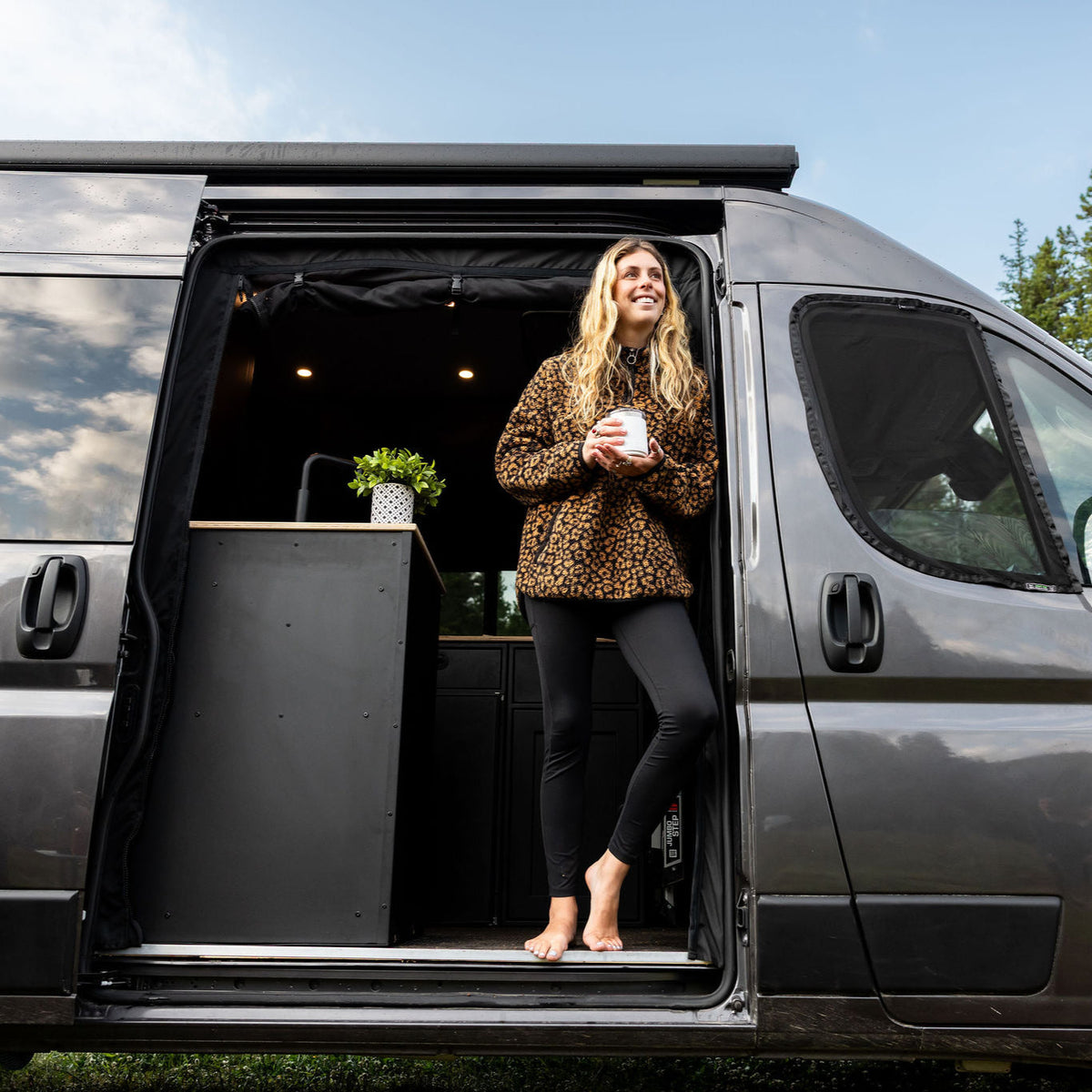 Ram Promaster Bug Screen - Sliding Door VanEssential
