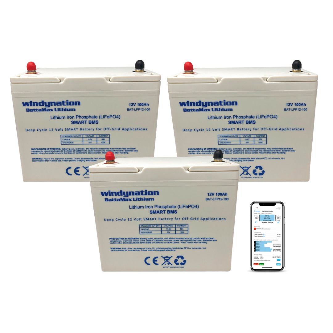 Lithium LIFePO4 100ah 12 Volt BattaMax 4000 Cycle Battery for Off-Grid Applications with Battery Management System (BMS) - RV, Cabin, Marine, Backup Storage Power
