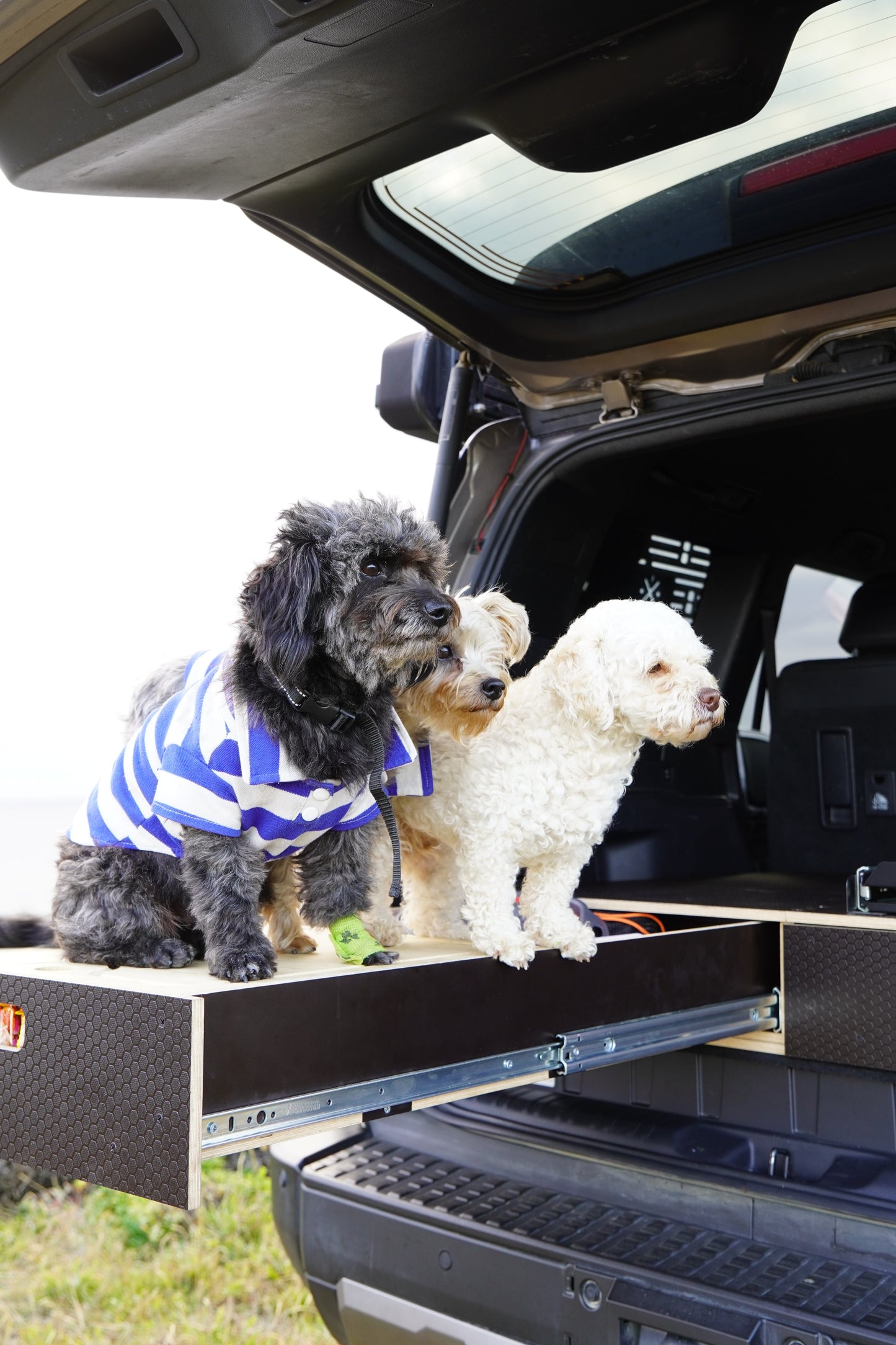 Land Cruiser 250 | Dual Drawer Storage System & Bed Platform | Toyota 2024+ LC250 Solid Wood Worx