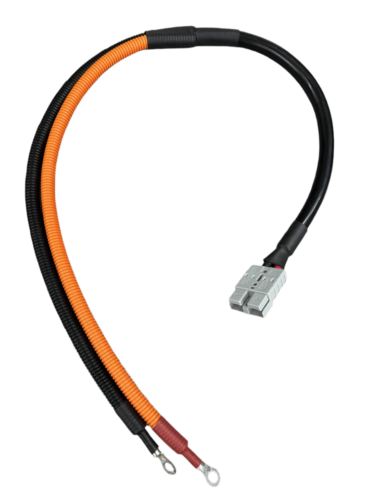 12V 50A Lithium Battery Charger - Epoch Batteries Epoch Batteries