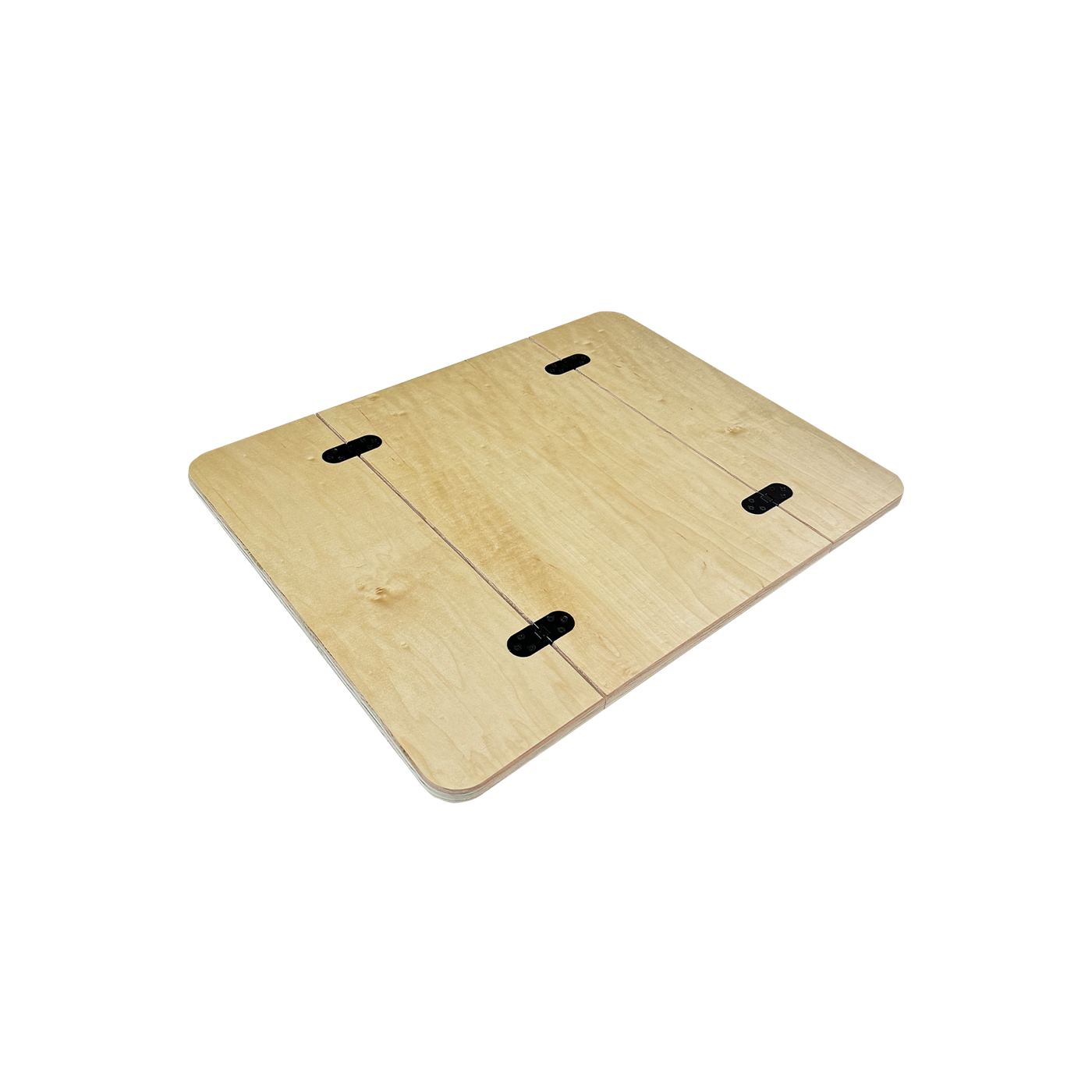 Universal Folding Table Top for Lagun Mounts