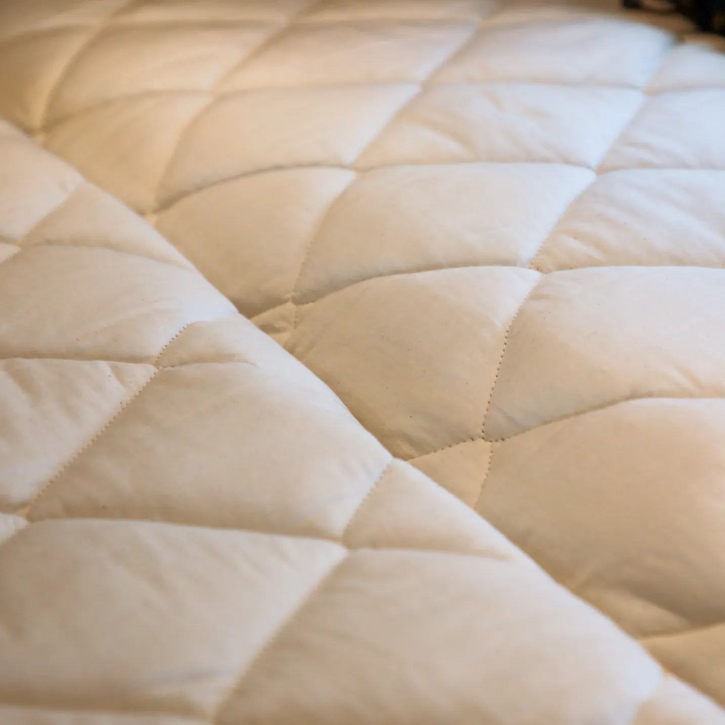 Revel/GH1 Ultra Luxe Mattress Protector Pad Canyon Adventure Vans