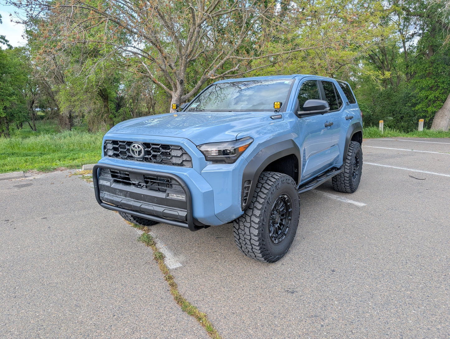 CAtuned Off-Road Toyota 4Runner Brush Bar