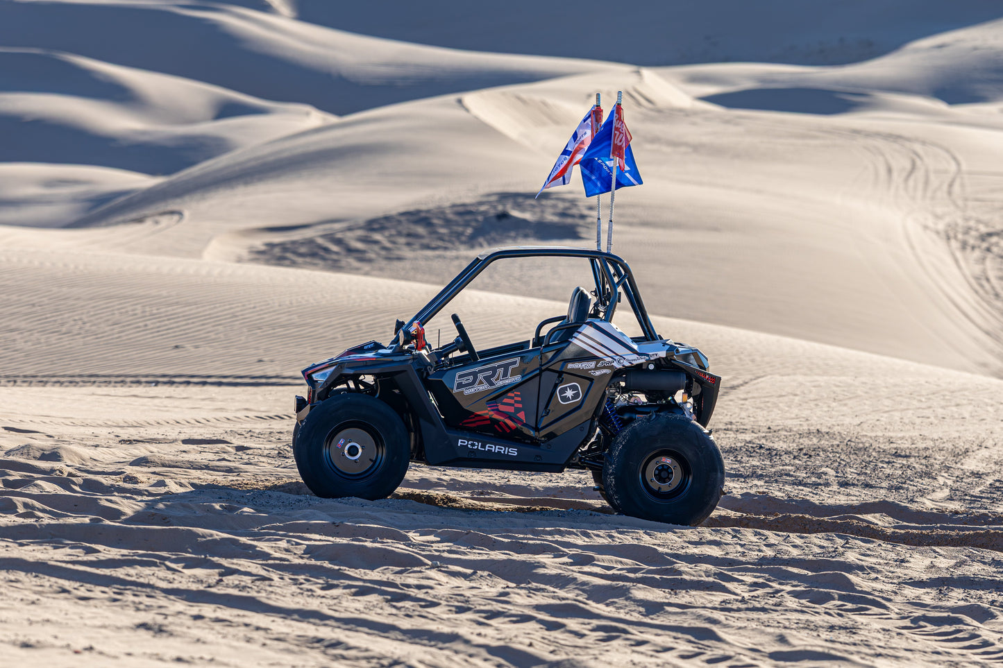 Polaris RZR 200 Standard Radius Cage UTV SPEED