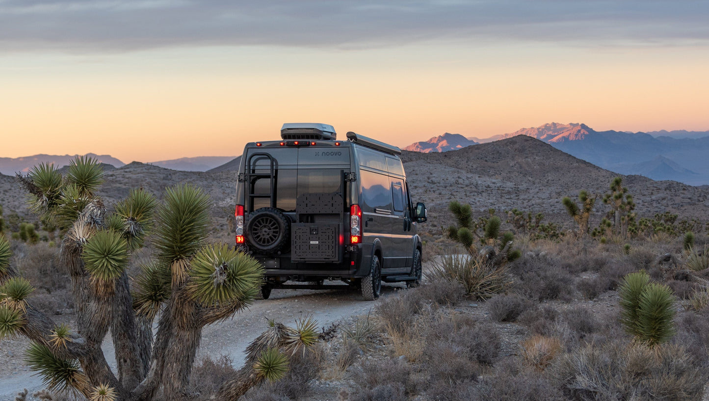 Rover Vans Tire Carrier & Ladder Combo for Ram ProMaster