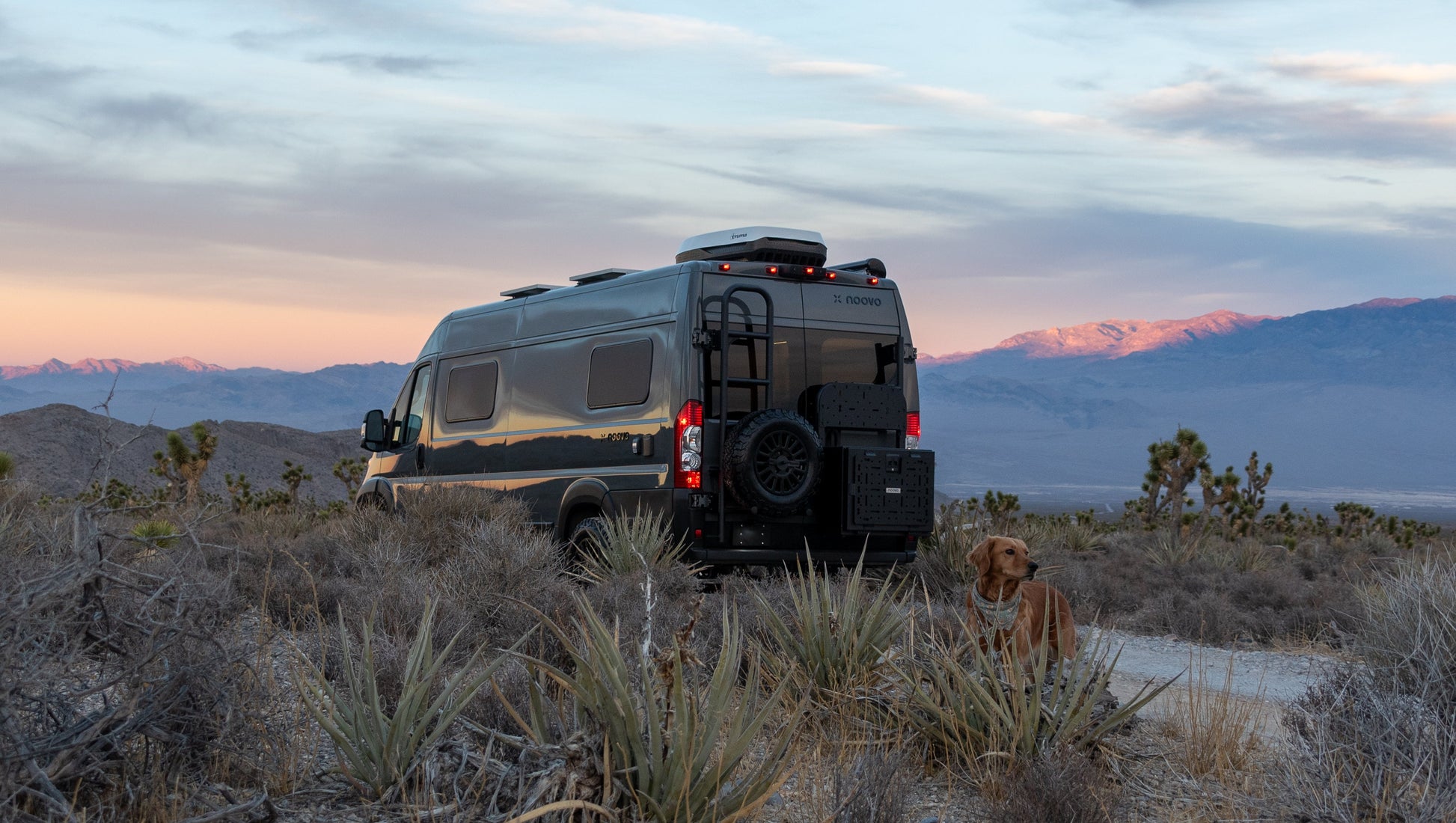 Rover Vans Tactical Box for Van Rear Rover Vans