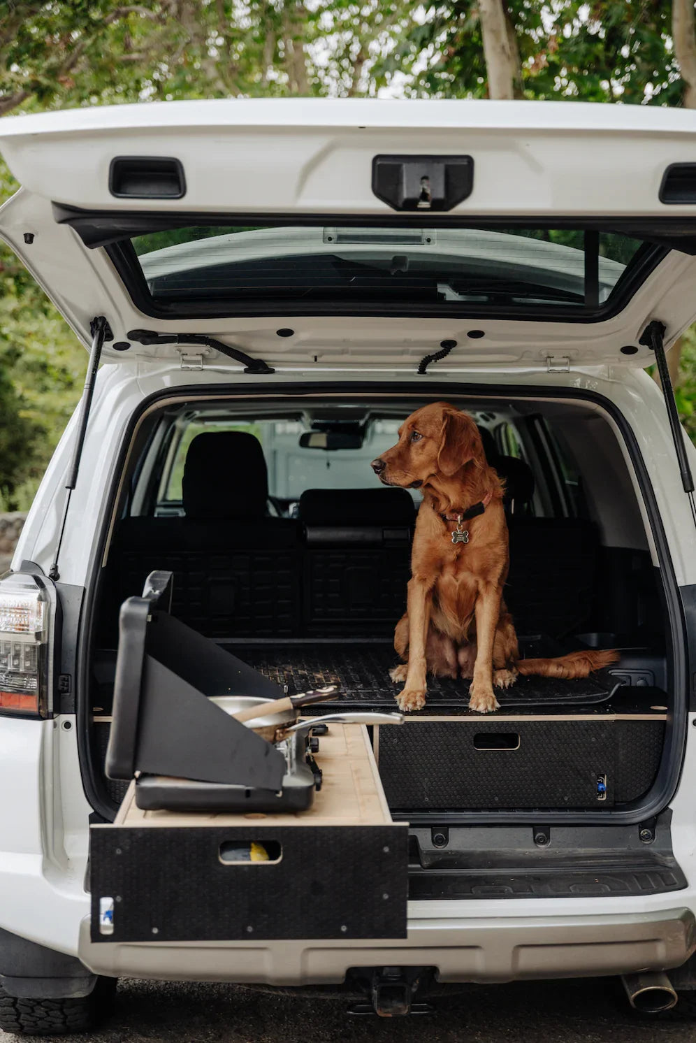 Toyota 4Runner | Dual Drawer Storage System & Bed Platform | 4th-5th Gen 2003–2024 Solid Wood Worx