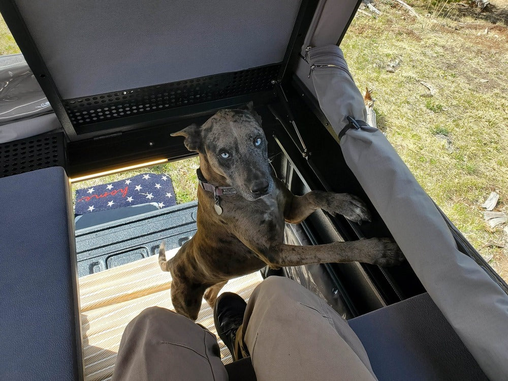 GAIA Campers Jeep Gladiator Camper - 2020+ (Downpayment)