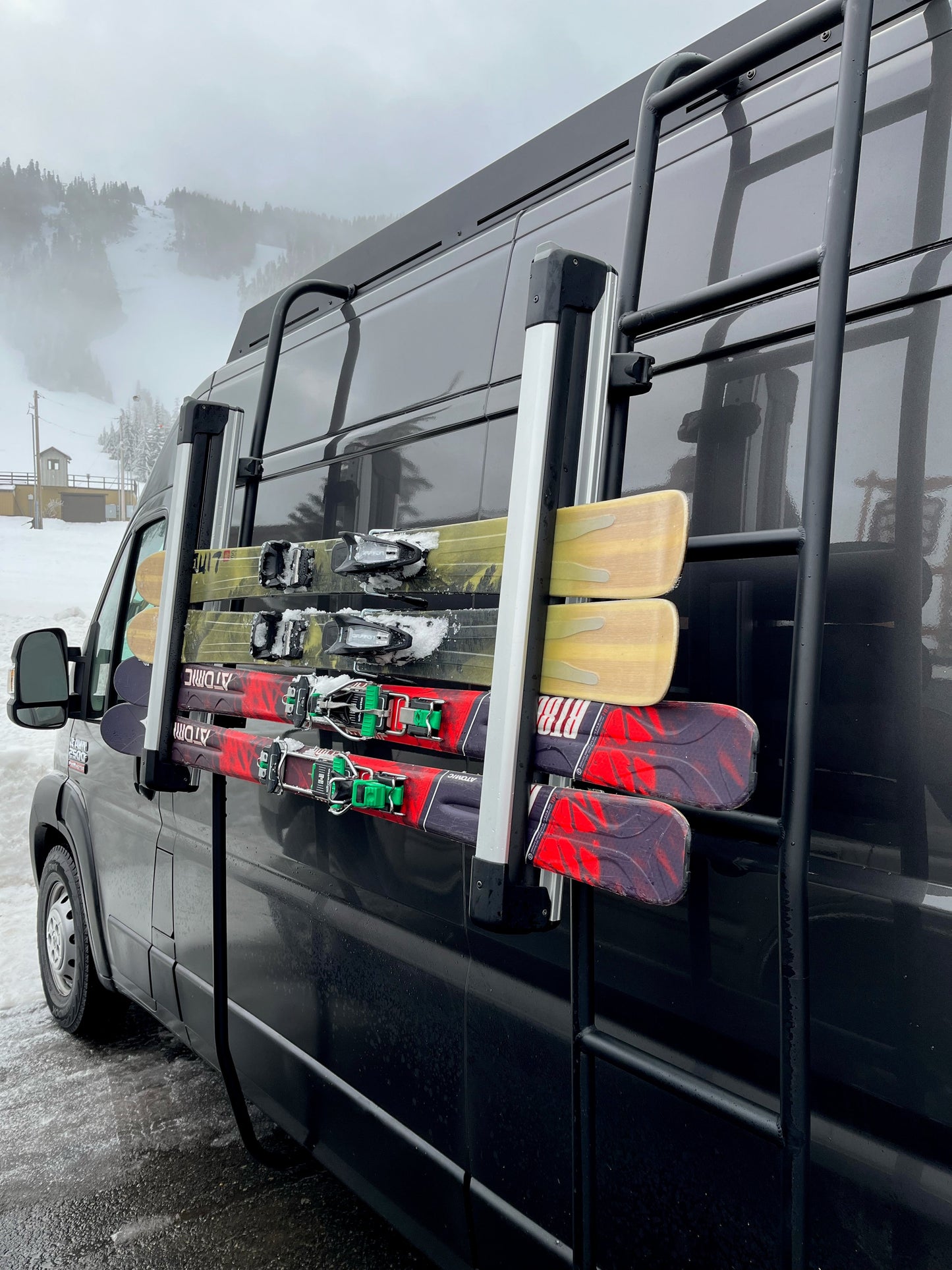 Promaster Stealth+ Side Ladder